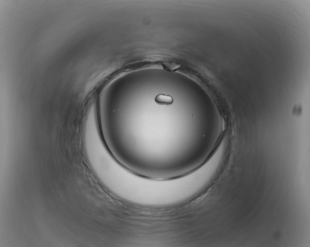 X0000112901261200908281716