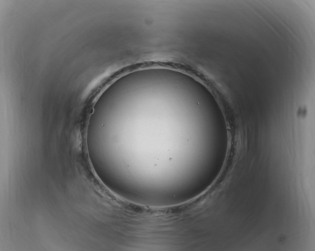 X0000112901262200908281716