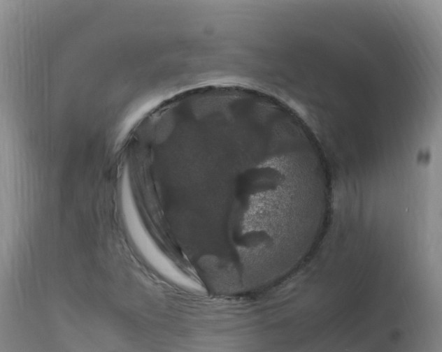 X0000112901263200908281716