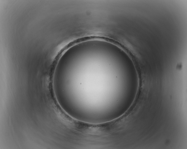 X0000112901264200908281716