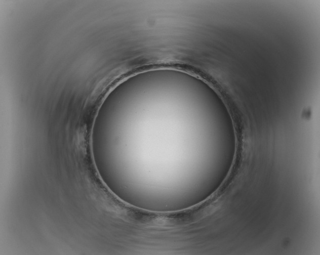 X0000112901265200908281716