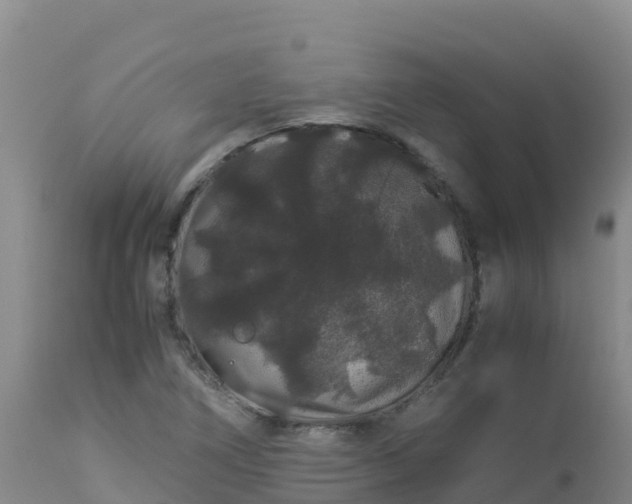 X0000112901266200908281716