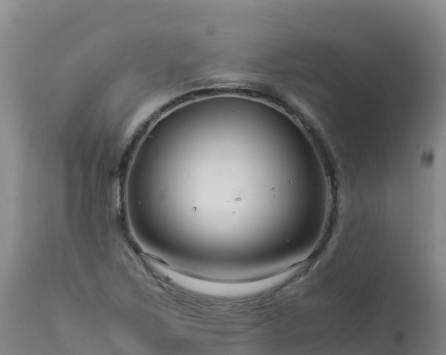 X0000112901267200908281716