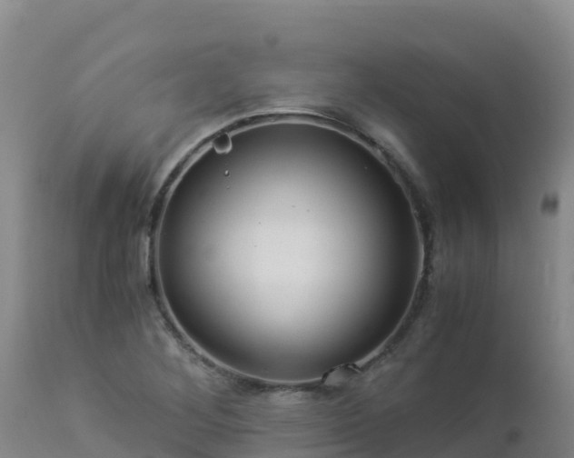 X0000112901268200908281716