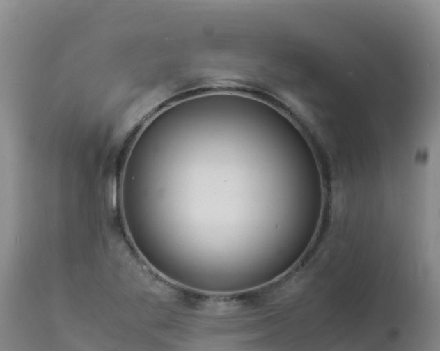 X0000112901269200908281716