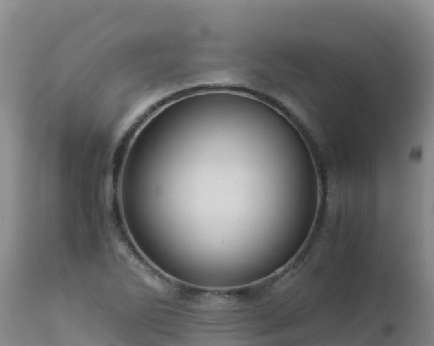 X0000112901270200908281716