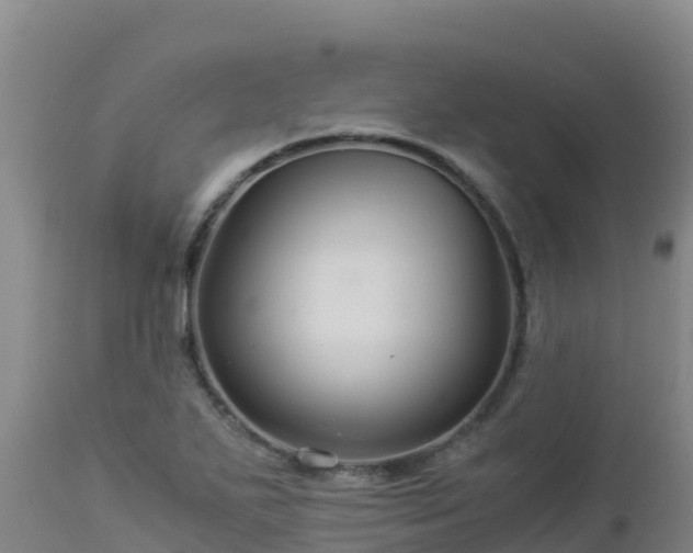 X0000112901271200908281716