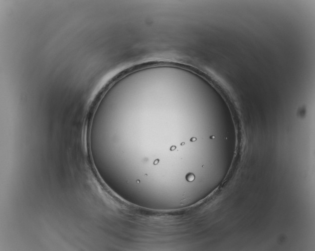 X0000112901272200908281716