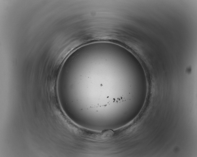 X0000112901273200908281716