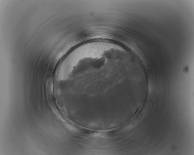 X0000112901274200908281716