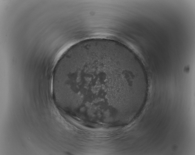 X0000112901275200908281716