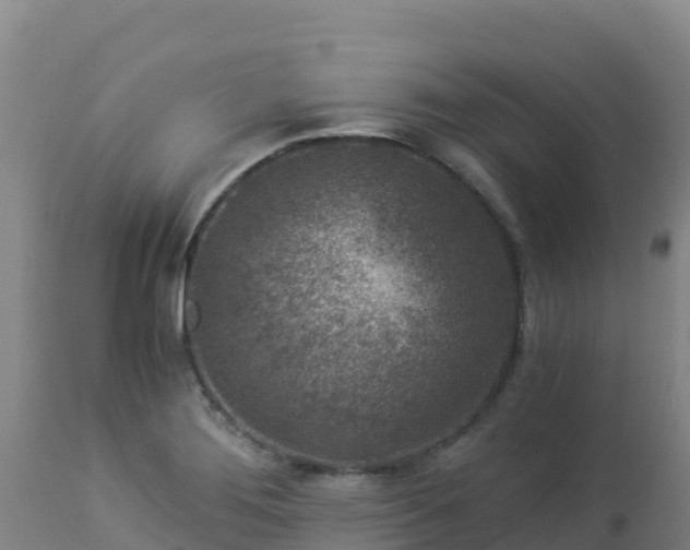 X0000112901276200908281716