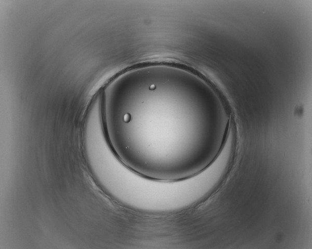 X0000112901277200908281716