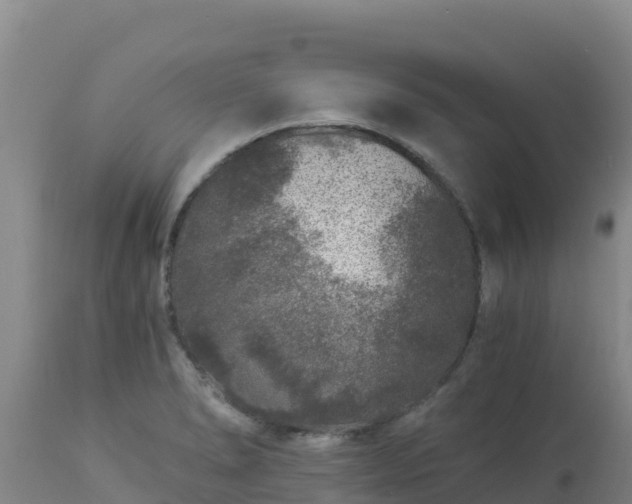 X0000112901278200908281716