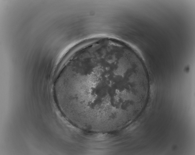 X0000112901279200908281716