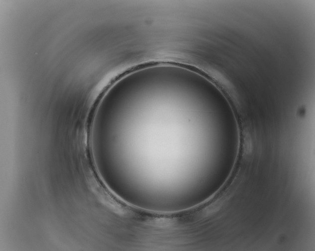 X0000112901280200908281715