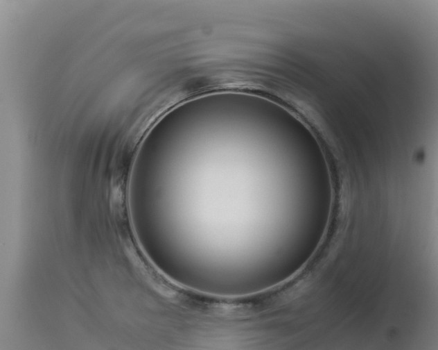 X0000112901281200908281715