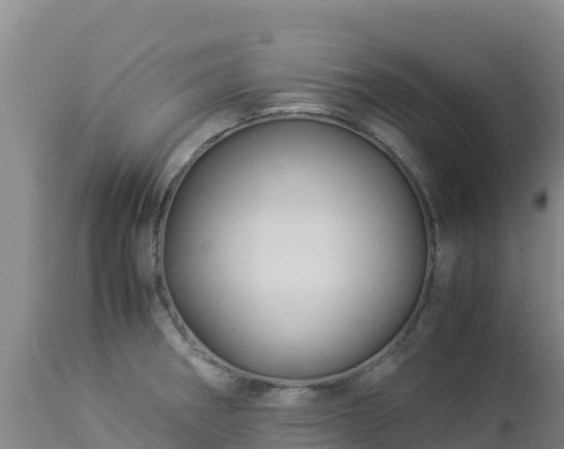 X0000112901282200908281715