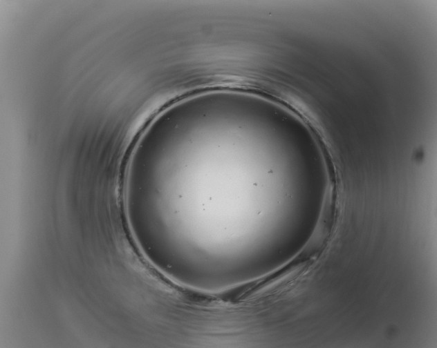 X0000112901283200908281715