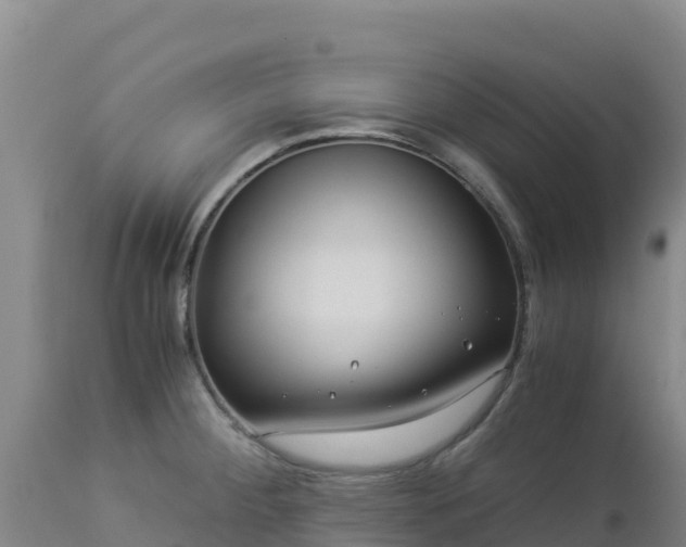 X0000112901284200908281715