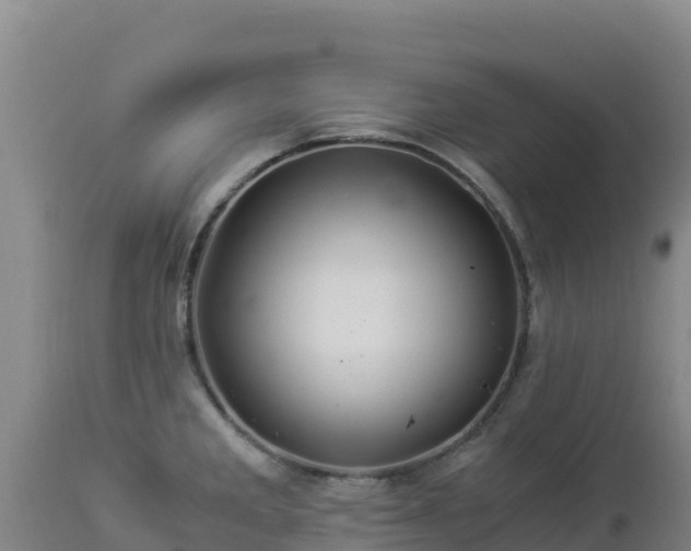 X0000112901285200908281715