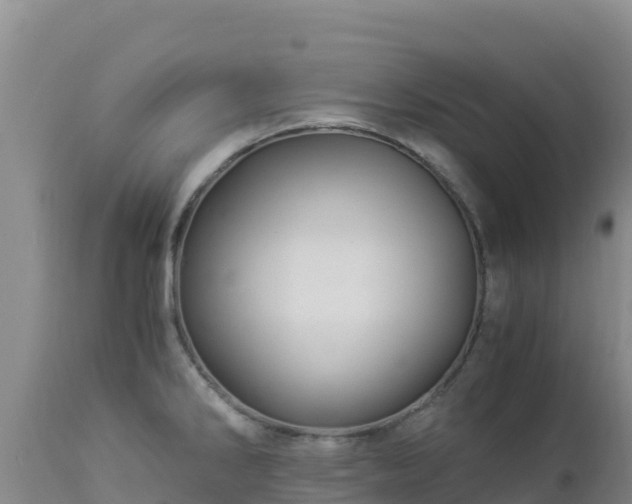 X0000112901286200908281715