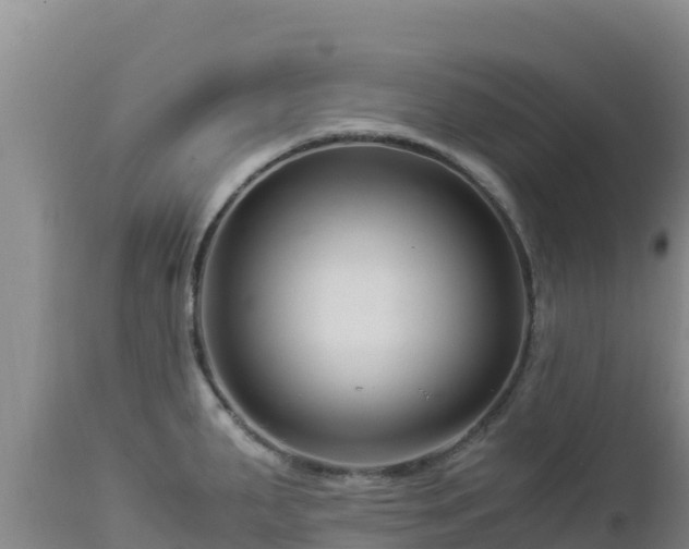 X0000112901287200908281715