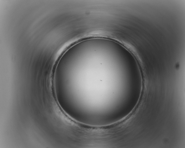 X0000112901288200908281715