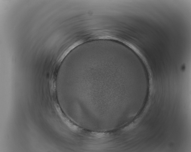 X0000112901289200908281715