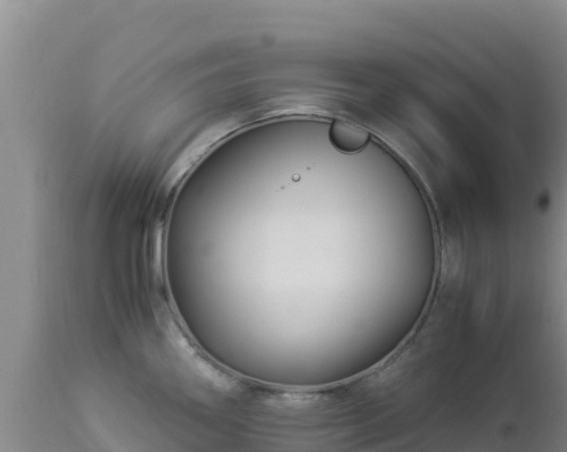 X0000112901290200908281715