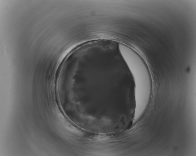 X0000112901291200908281715