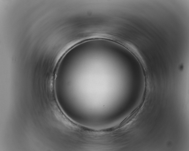 X0000112901292200908281715