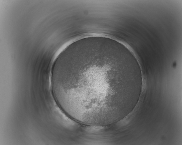 X0000112901294200908281715