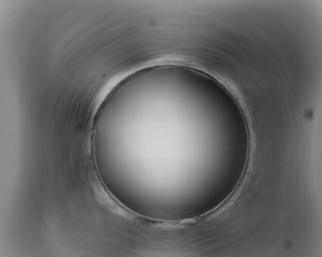 X0000112901296200908281715