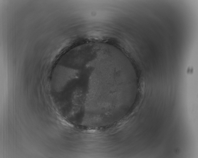 X0000112901297200908281715