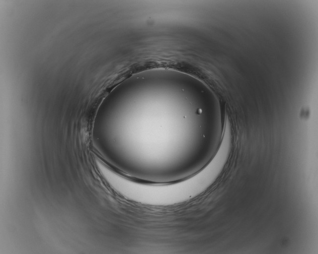 X0000112901298200908281715