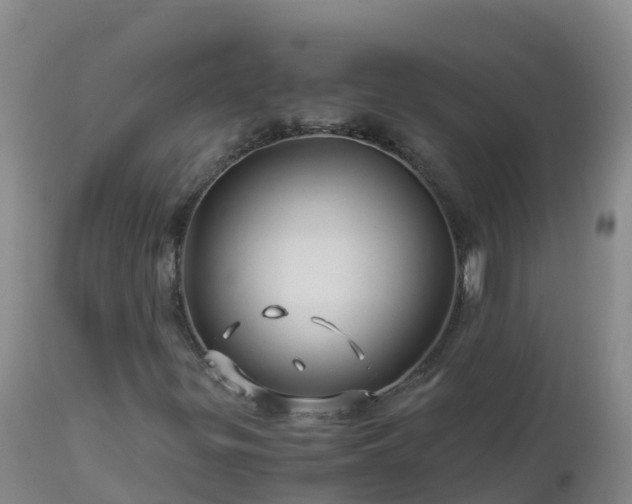 X0000112901299200908281715