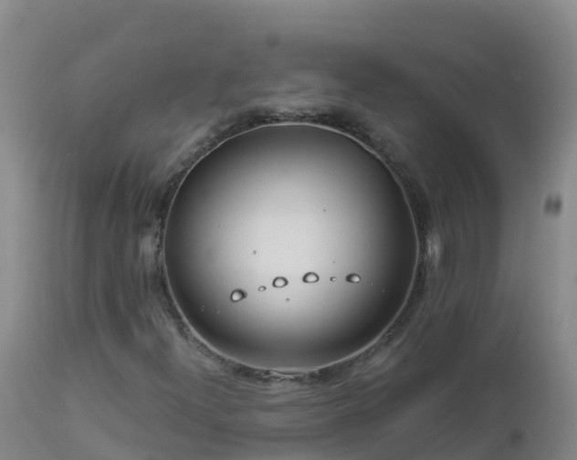 X0000112901300200908281715