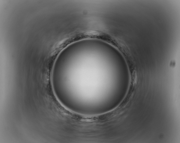 X0000112901301200908281715