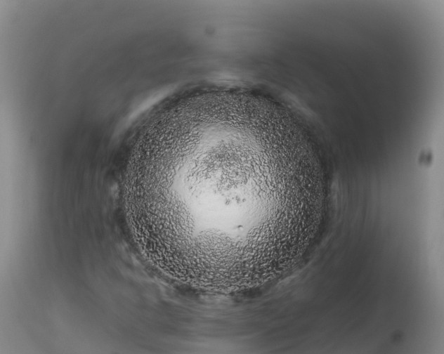 X0000112901302200908281715