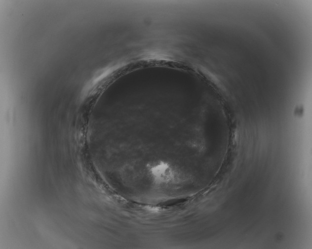 X0000112901303200908281715