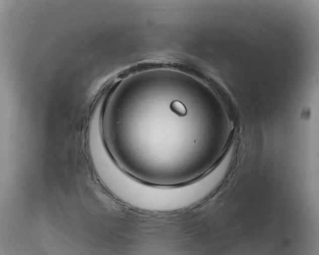 X0000112901304200908281715