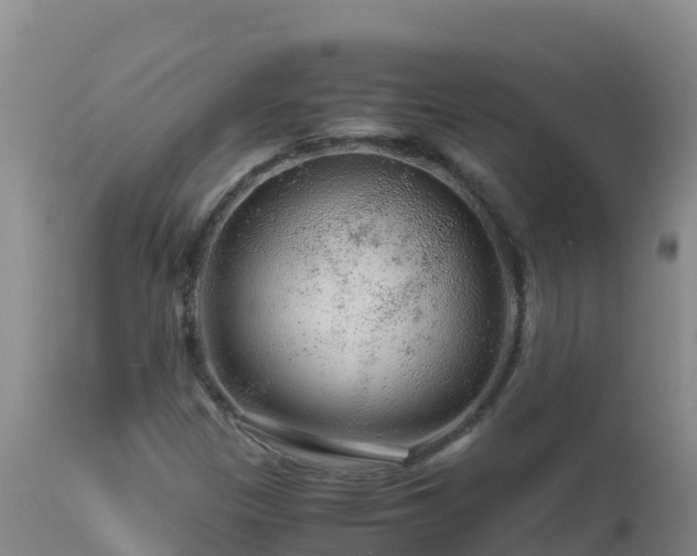 X0000112901305200908281715