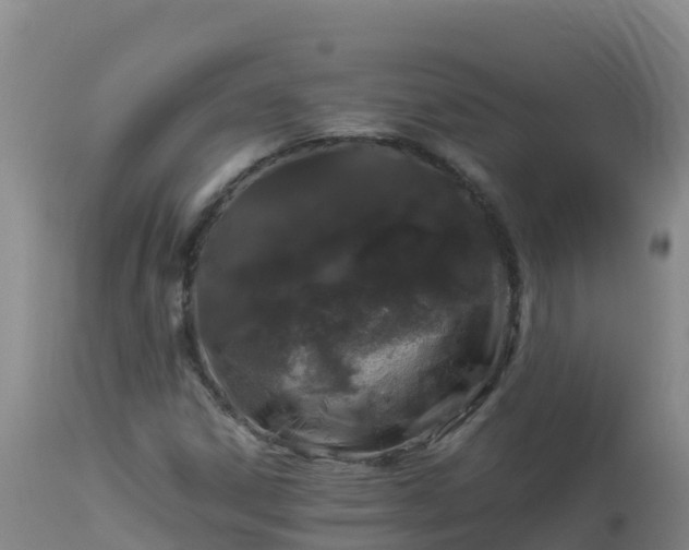 X0000112901306200908281715