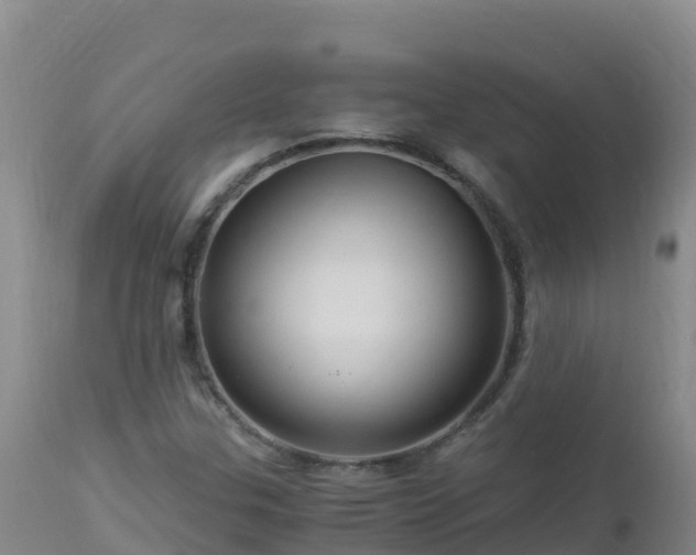 X0000112901307200908281715