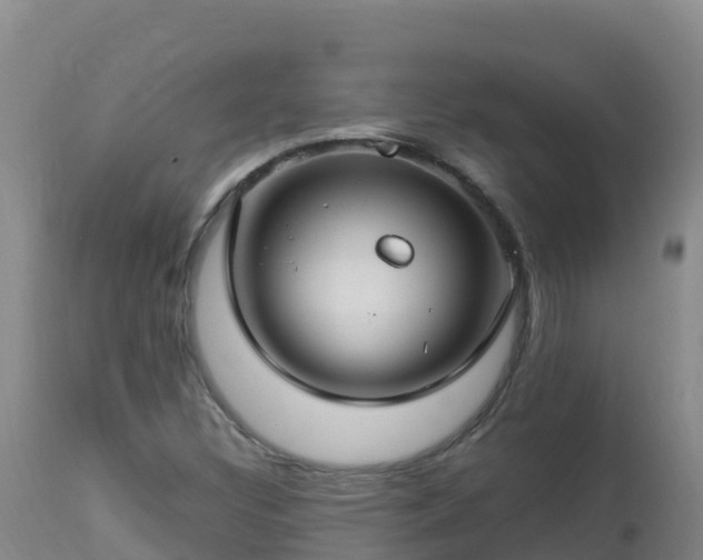 X0000112901308200908281715