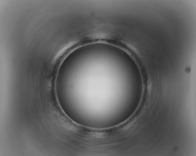 X0000112901309200908281715