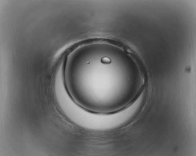 X0000112901310200908281715