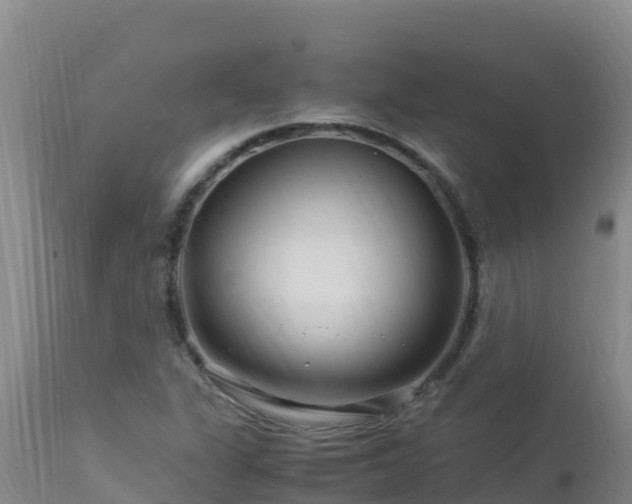 X0000112901311200908281715