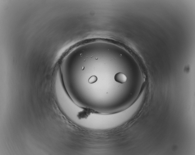 X0000112901312200908281715